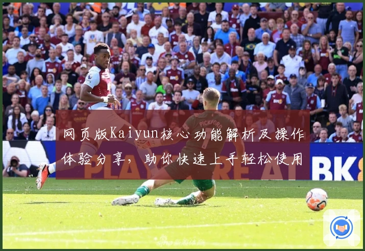 网页版Kaiyun核心功能解析及操作体验分享，助你快速上手轻松使用